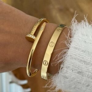 Cartier Love + Clou